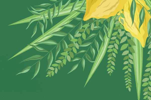 Happy Sukkot!